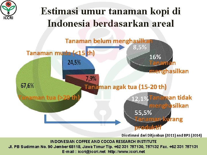 ICCRI Estimasi umur tanaman kopi di Indonesia berdasarkan areal Tanaman belum menghasilkan 8, 5%
