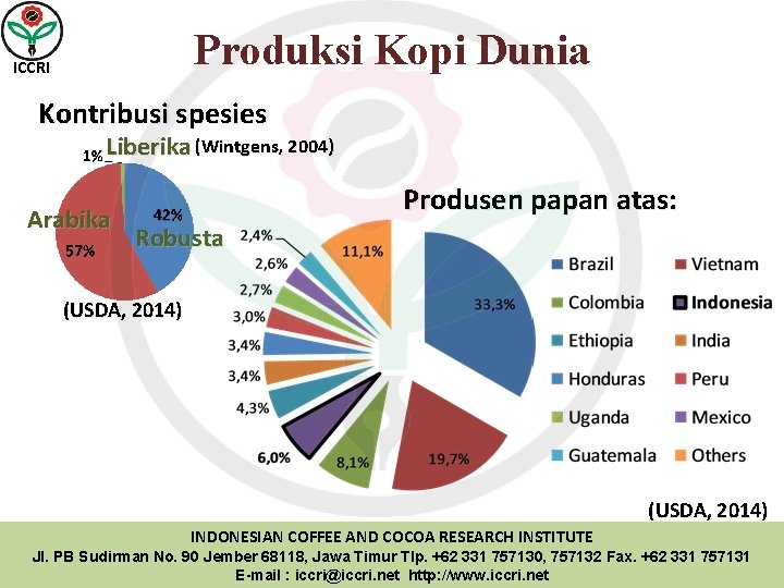 Produksi Kopi Dunia ICCRI Kontribusi spesies Liberika (Wintgens, 2004) Arabika Produsen papan atas: Robusta