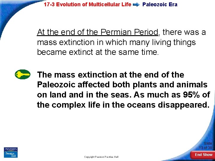 17 -3 Evolution of Multicellular Life Paleozoic Era At the end of the Permian