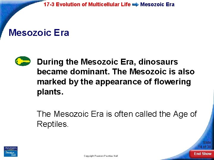 17 -3 Evolution of Multicellular Life Mesozoic Era During the Mesozoic Era, dinosaurs became