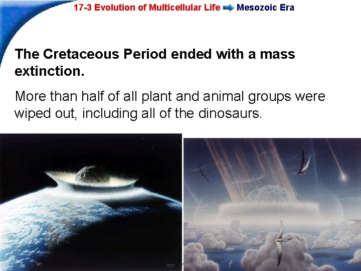 17 -3 Evolution of Multicellular Life Mesozoic Era The Cretaceous Period ended with a