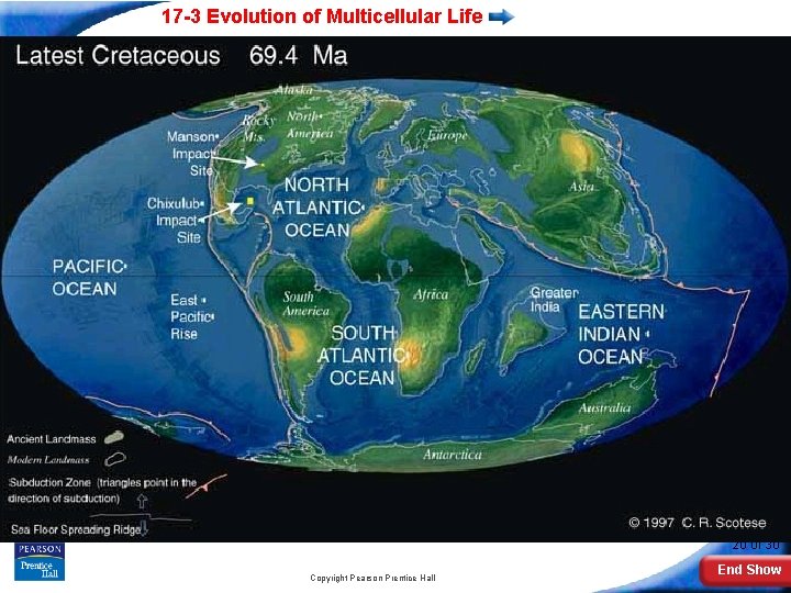 17 -3 Evolution of Multicellular Life Slide 20 of 30 Copyright Pearson Prentice Hall