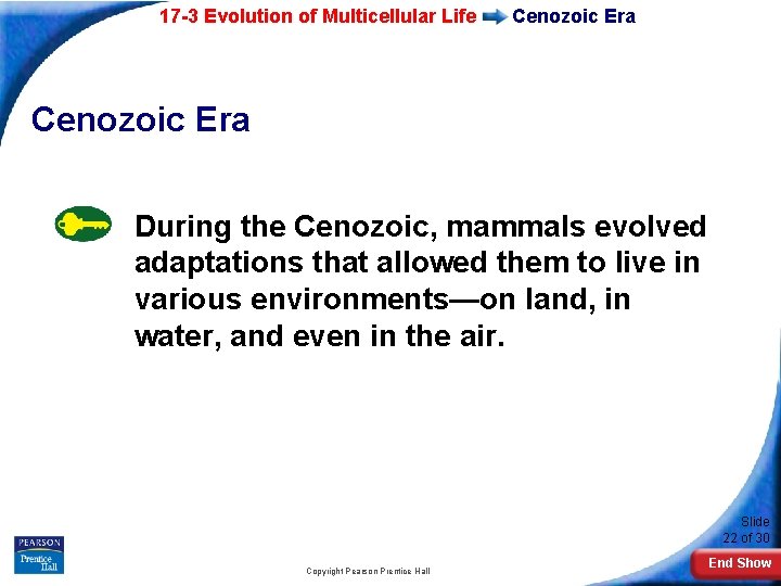 17 -3 Evolution of Multicellular Life Cenozoic Era During the Cenozoic, mammals evolved adaptations