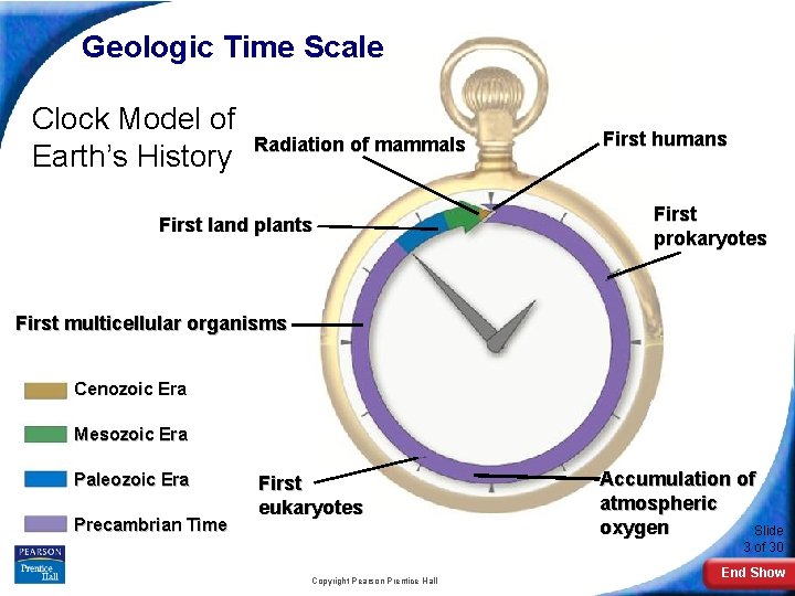  Geologic Time Scale Clock Model of Earth’s History Radiation of mammals First land