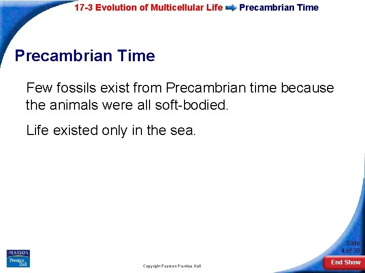 17 -3 Evolution of Multicellular Life Precambrian Time Few fossils exist from Precambrian time