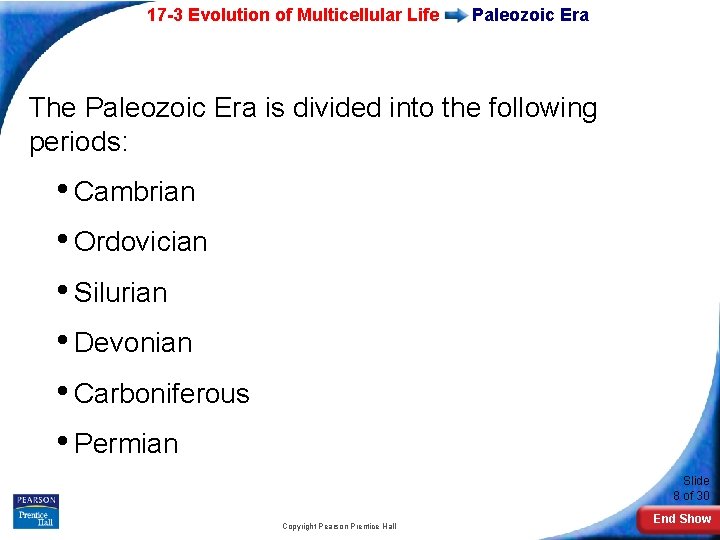 17 -3 Evolution of Multicellular Life Paleozoic Era The Paleozoic Era is divided into