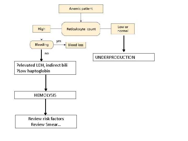 UNDERPRODUCTION ? elevated LDH, indirect bili ? Low haptoglobin HEMOLYSIS Review risk factors Review