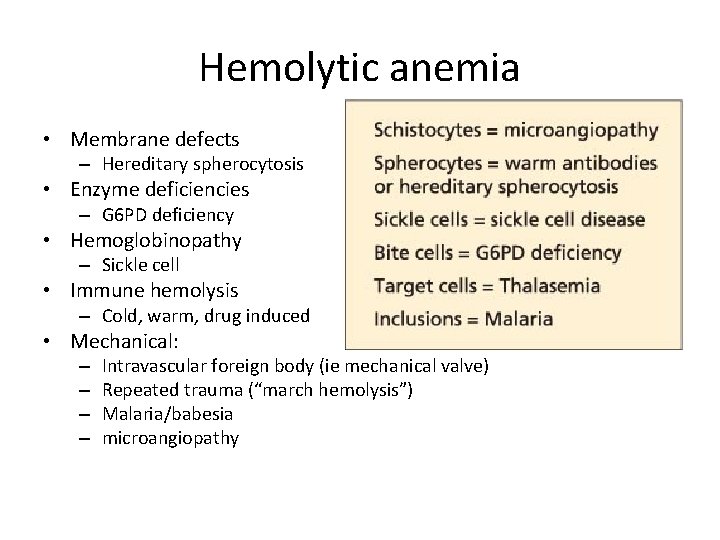 Hemolytic anemia • Membrane defects – Hereditary spherocytosis • Enzyme deficiencies – G 6