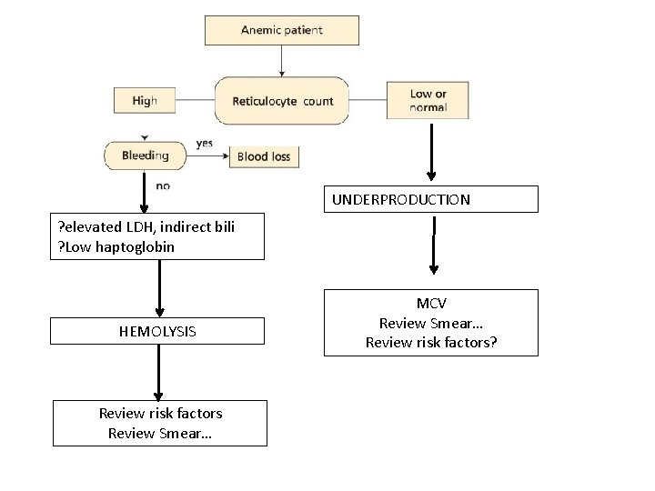 UNDERPRODUCTION ? elevated LDH, indirect bili ? Low haptoglobin HEMOLYSIS Review risk factors Review