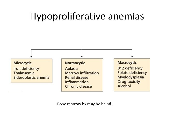 Hypoproliferative anemias Bone marrow bx may be helpful 