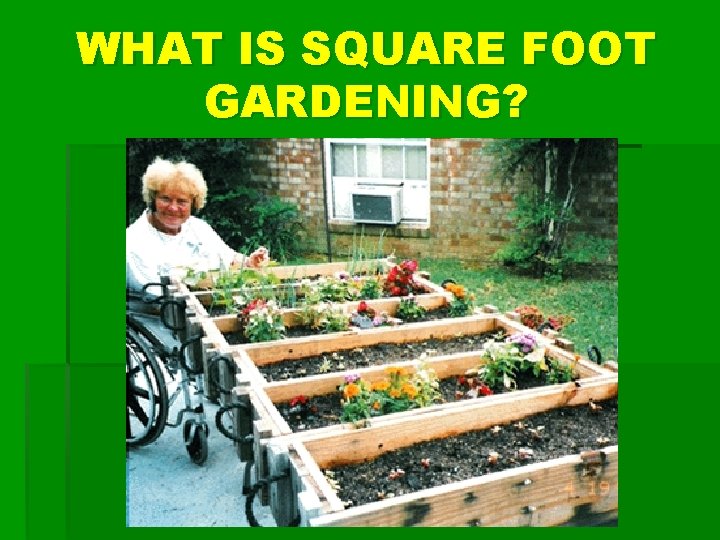 WHAT IS SQUARE FOOT GARDENING? 