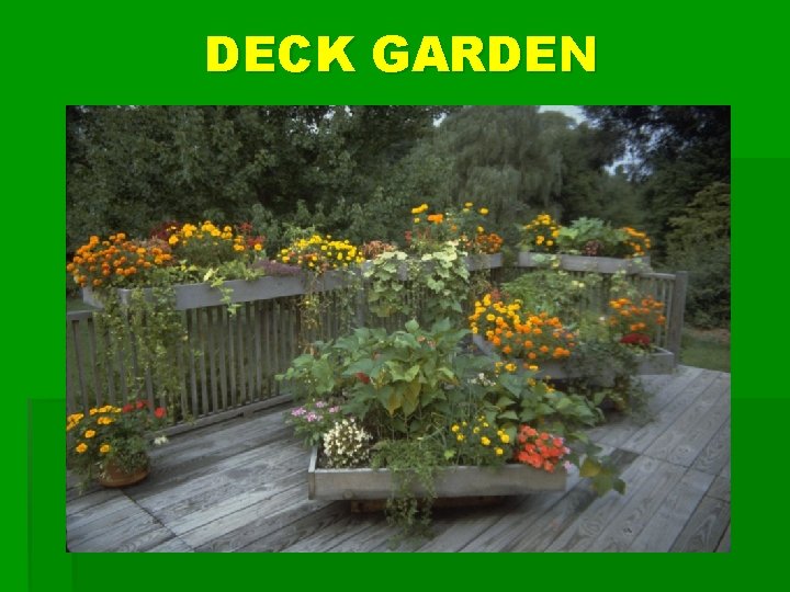 DECK GARDEN 