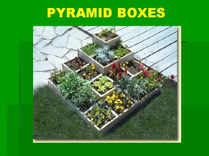 PYRAMID BOXES 