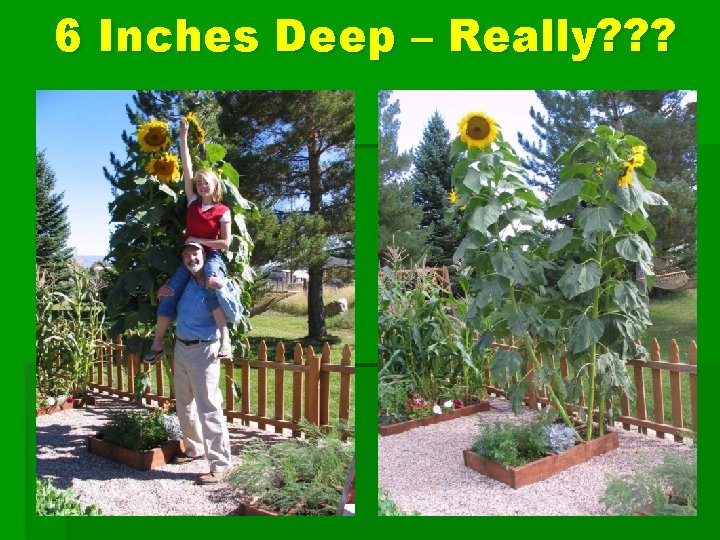 6 Inches Deep – Really? ? ? 
