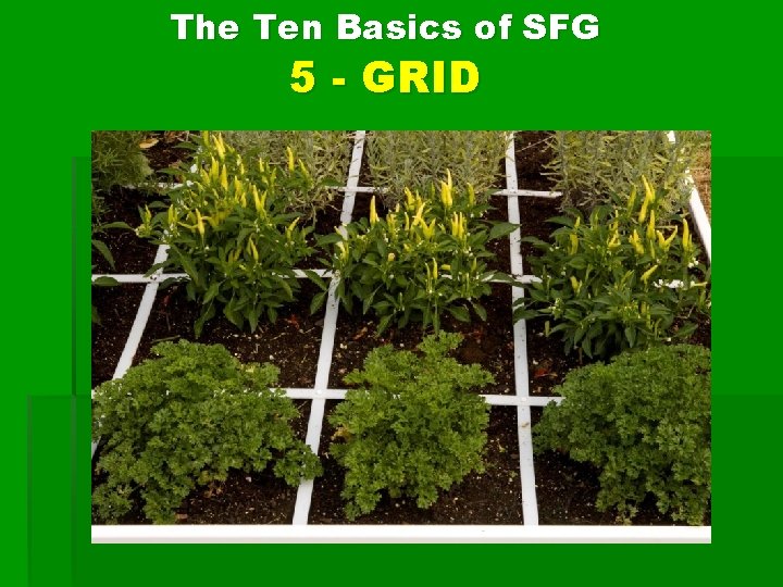 The Ten Basics of SFG 5 - GRID 