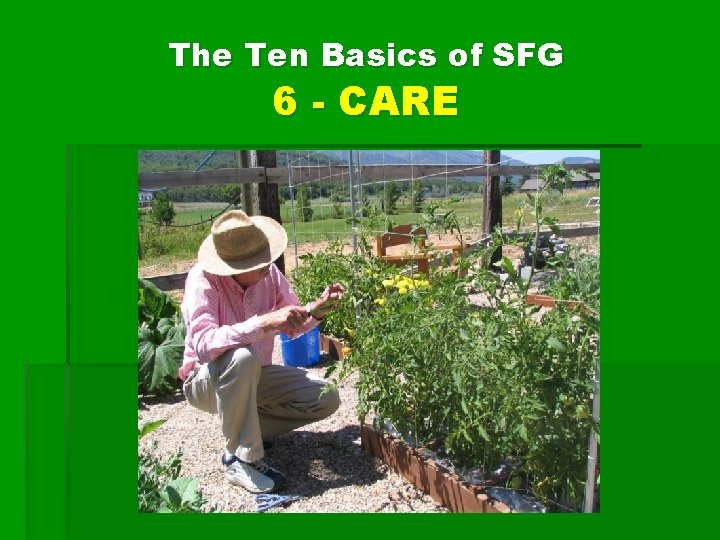 The Ten Basics of SFG 6 - CARE 