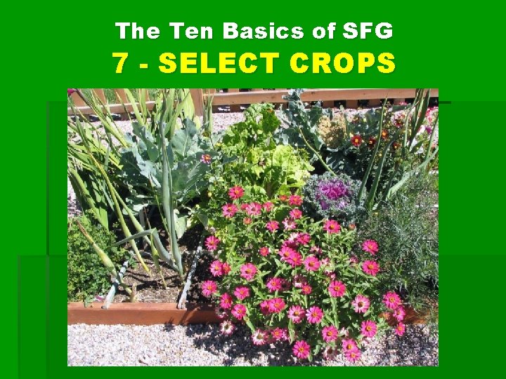 The Ten Basics of SFG 7 - SELECT CROPS 