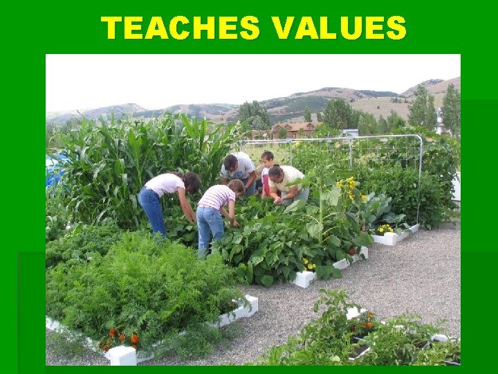 TEACHES VALUES 