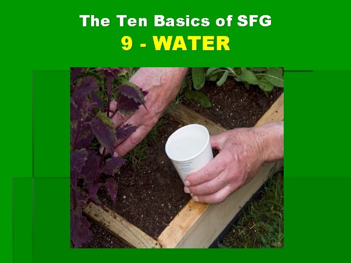 The Ten Basics of SFG 9 - WATER 