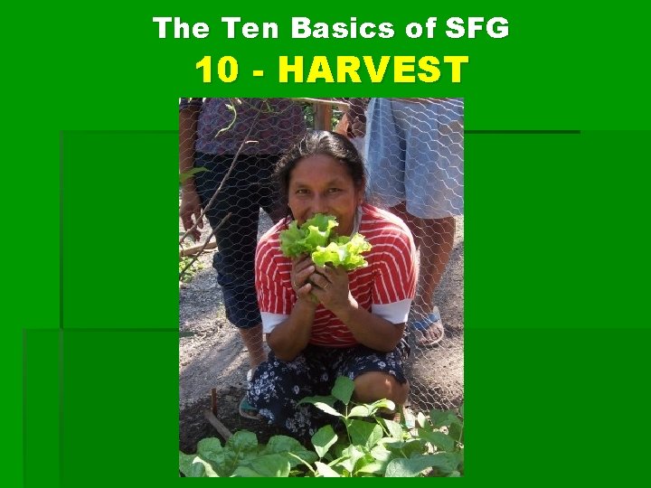 The Ten Basics of SFG 10 - HARVEST 