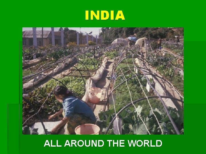 INDIA ALL AROUND THE WORLD 