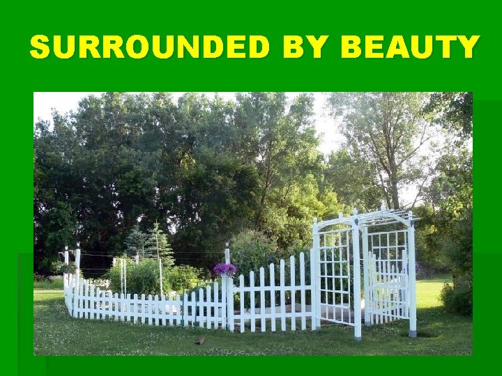 SURROUNDED BY BEAUTY 