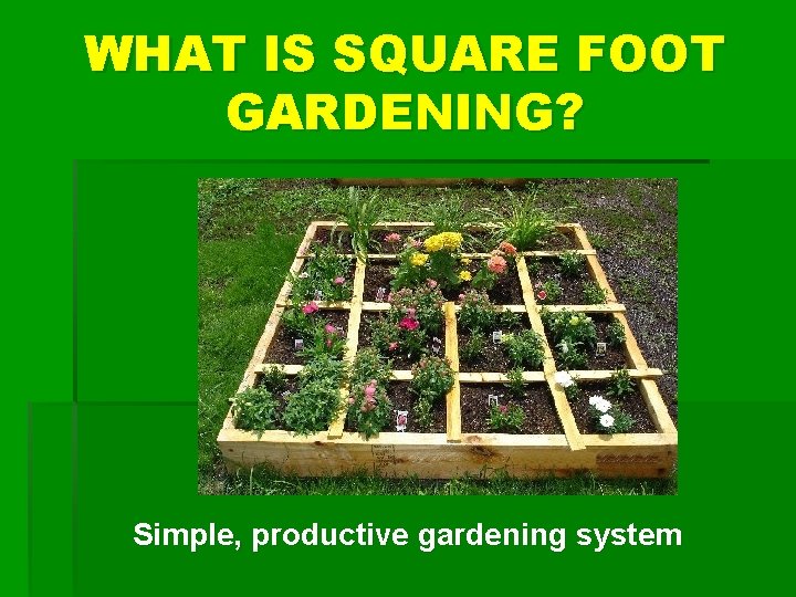 WHAT IS SQUARE FOOT GARDENING? Simple, productive gardening system 