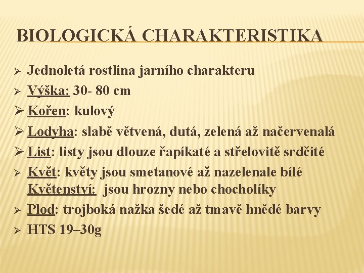 BIOLOGICKÁ CHARAKTERISTIKA Jednoletá rostlina jarního charakteru Ø Výška: 30 - 80 cm Ø Kořen: