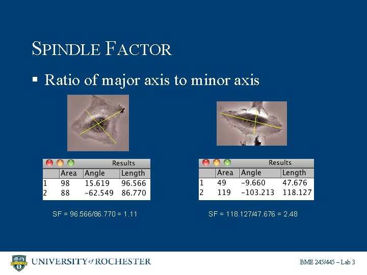 SPINDLE FACTOR § Ratio of major axis to minor axis SF = 96. 566/86.
