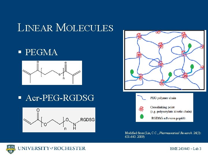 LINEAR MOLECULES § PEGMA § Acr-PEG-RGDSG Modified from (Lin, C. C. , Pharmaceutical Research.