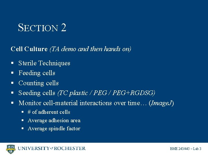 SECTION 2 Cell Culture (TA demo and then hands on) § § § Sterile