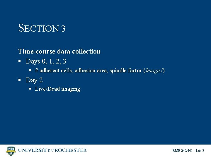 SECTION 3 Time-course data collection § Days 0, 1, 2, 3 § # adherent