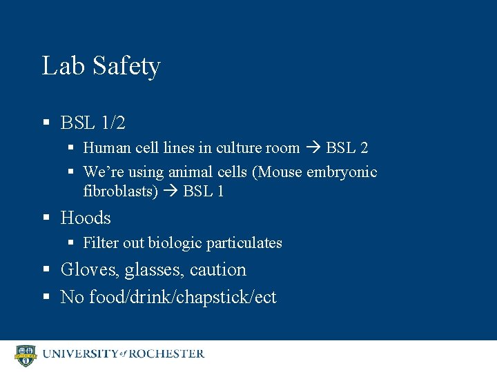 Lab Safety § BSL 1/2 § Human cell lines in culture room BSL 2