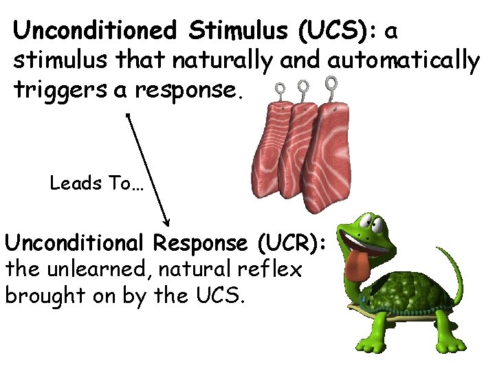 Unconditioned Stimulus (UCS): a stimulus that naturally and automatically triggers a response. Leads To…