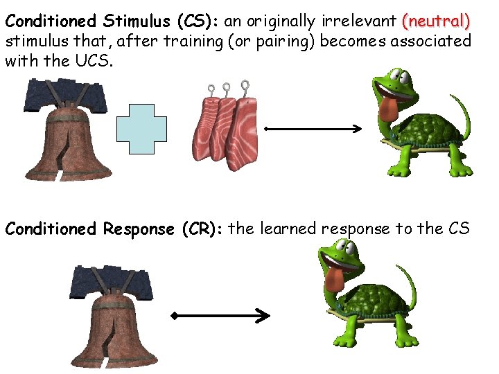 Conditioned Stimulus (CS): an originally irrelevant (neutral) stimulus that, after training (or pairing) becomes