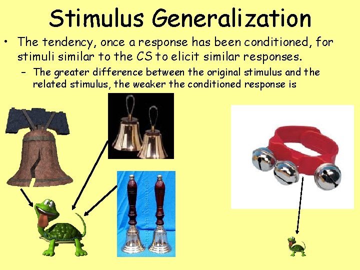 Stimulus Generalization • The tendency, once a response has been conditioned, for stimuli similar
