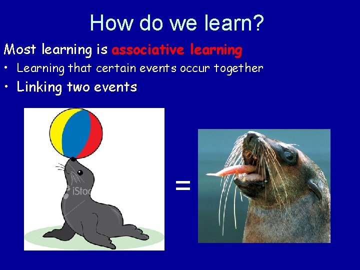 How do we learn? Most learning is associative learning • Learning that certain events