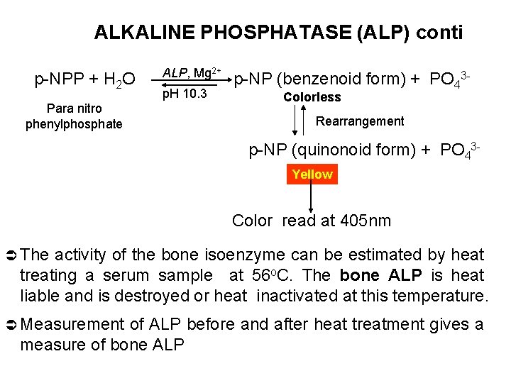 ALKALINE PHOSPHATASE (ALP) conti p-NPP + H 2 O Para nitro phenylphosphate ALP, Mg