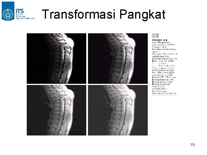 Transformasi Pangkat 19 