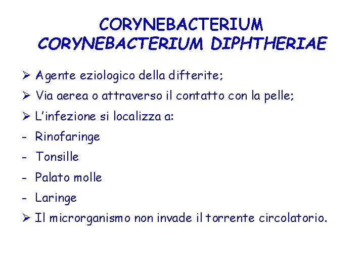 CORYNEBACTERIUM DIPHTHERIAE Ø Agente eziologico della difterite; Ø Via aerea o attraverso il contatto