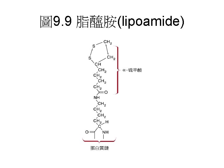 圖 9. 9 脂醯胺(lipoamide) 
