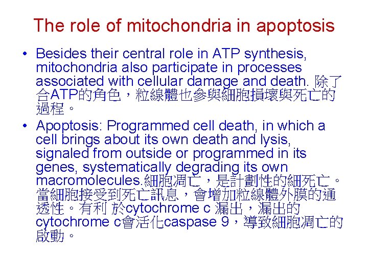 The role of mitochondria in apoptosis • Besides their central role in ATP synthesis,