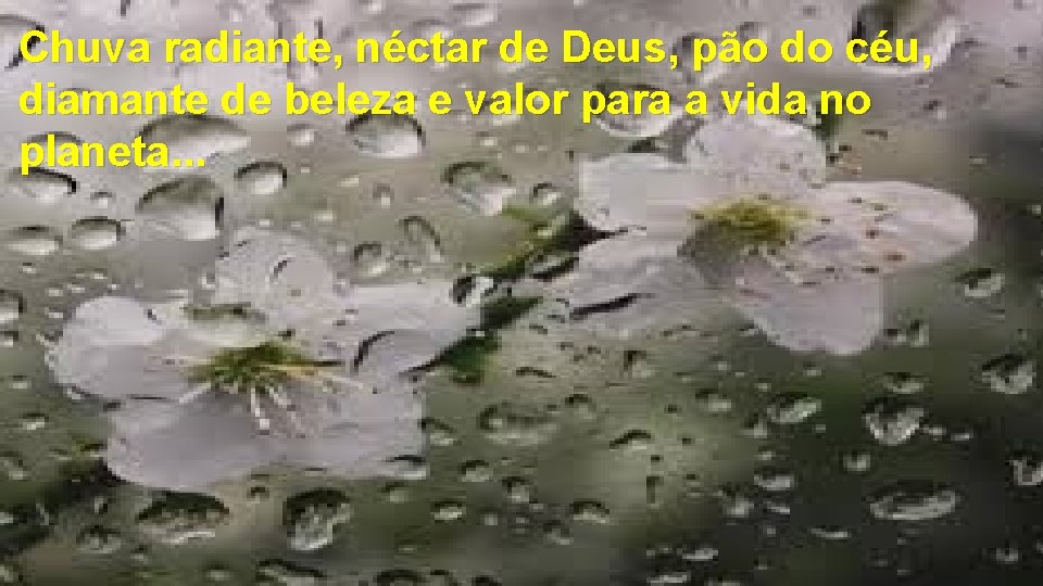 Chuva radiante, néctar de Deus, pão do céu, diamante de beleza e valor para