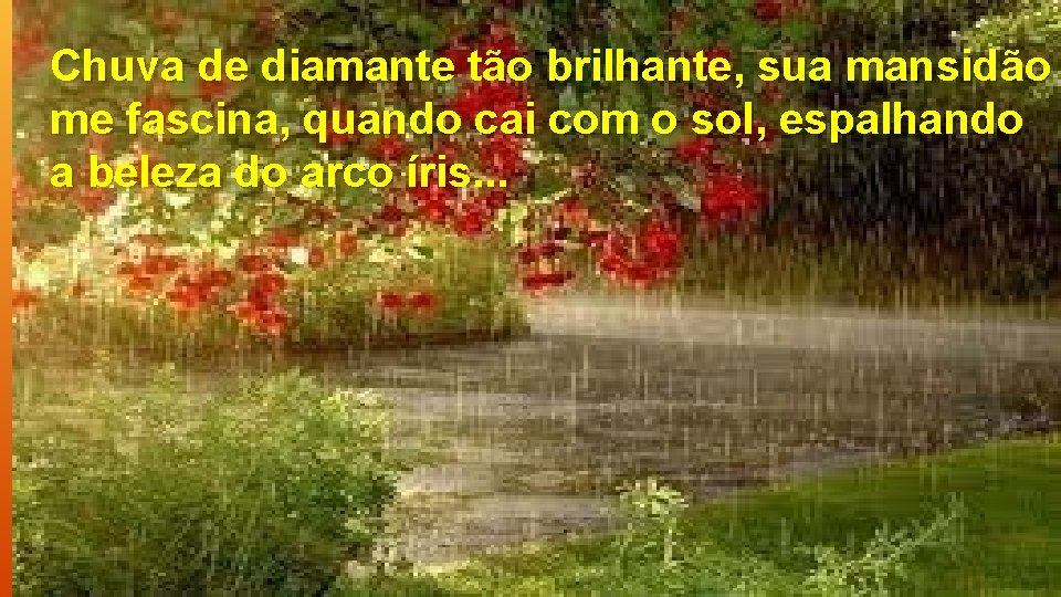 Chuva de diamante tão brilhante, sua mansidão me fascina, quando cai com o sol,
