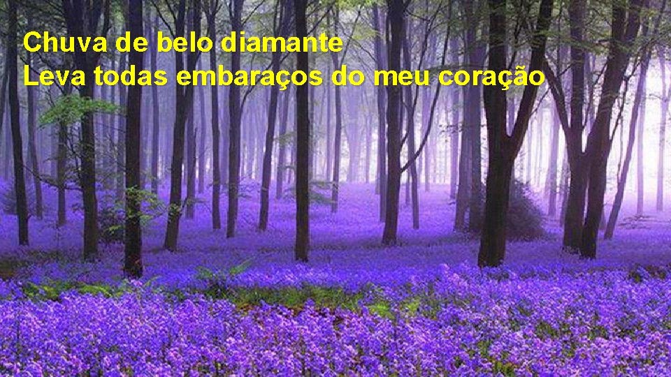 Chuva de belo diamante Leva todas embaraços do meu coração 