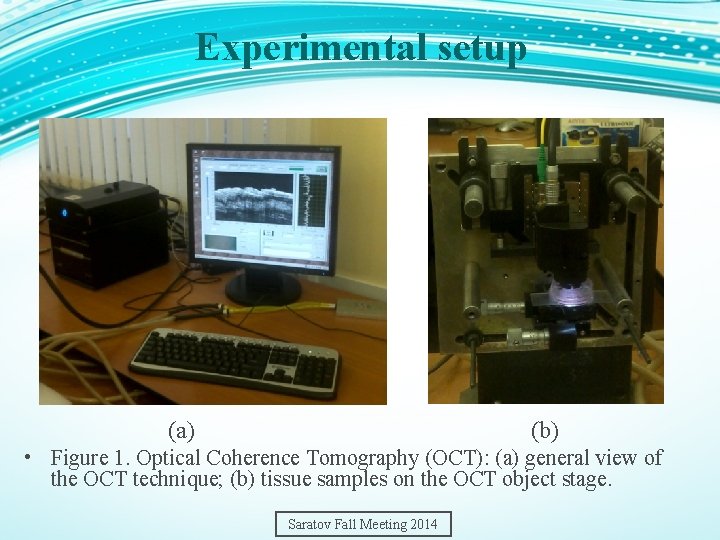 Experimental setup (а) (b) • Figure 1. Optical Coherence Tomography (OCT): (a) general view