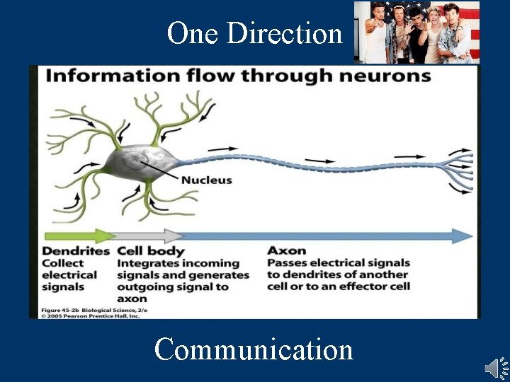 One Direction Communication  One Direction Communication