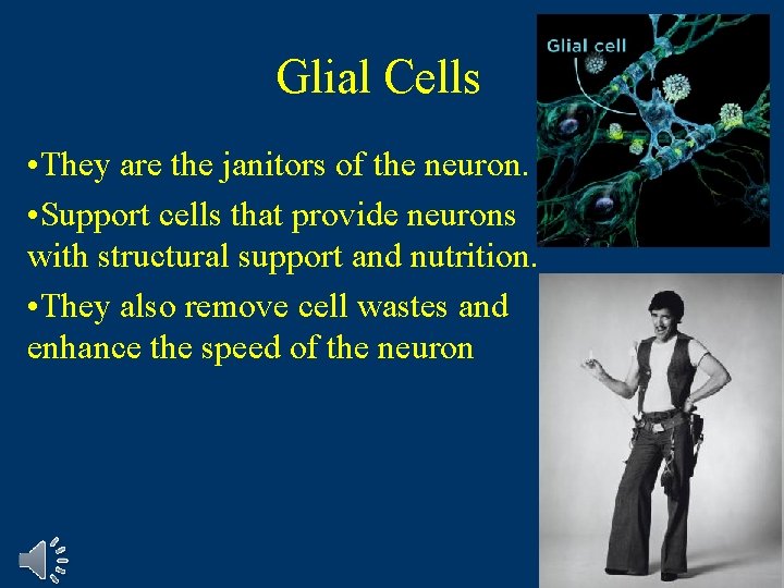 Glial Cells • They are the janitors of the neuron. • Support cells that Glial Cells • They are the janitors of the neuron. • Support cells that