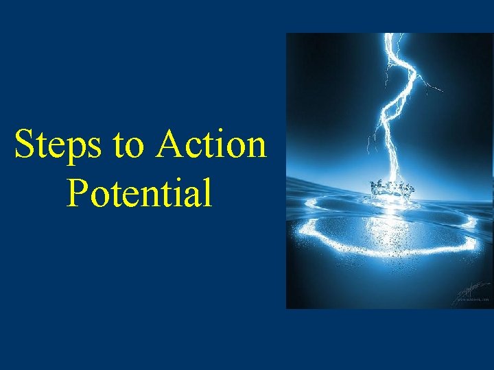 Steps to Action Potential  Steps to Action Potential