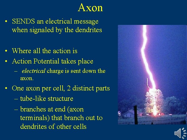 Axon • SENDS an electrical message when signaled by the dendrites • Where all Axon • SENDS an electrical message when signaled by the dendrites • Where all
